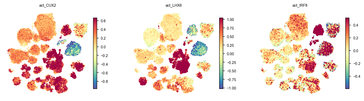 Regulon activity on the UMAP, AnnData