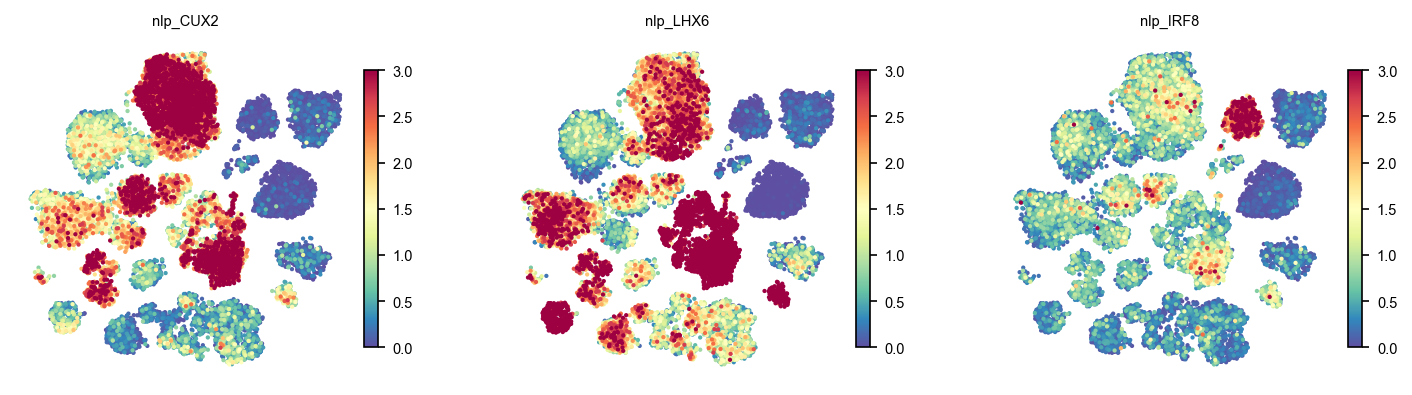 Per-cell significance of four regulons