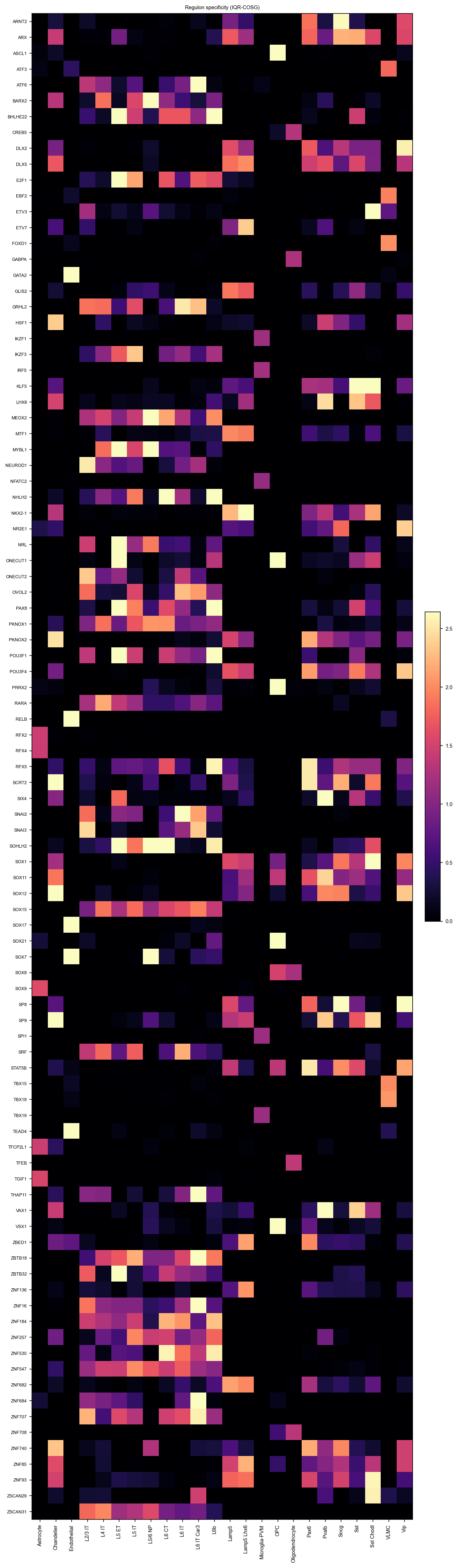 Regulon specificity clustermap