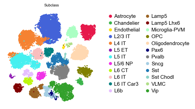 SEA-AD subclasses on the UMAP