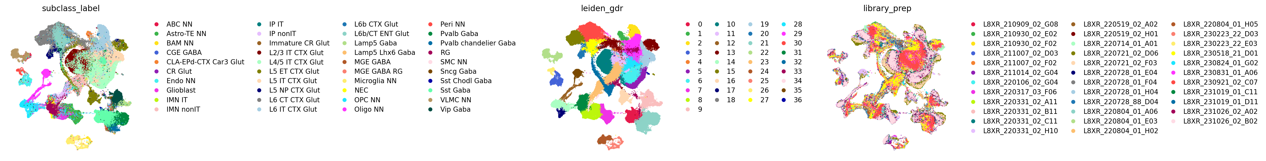 ADVIS 200k: subclass, Leiden on X_gdr, and the batch