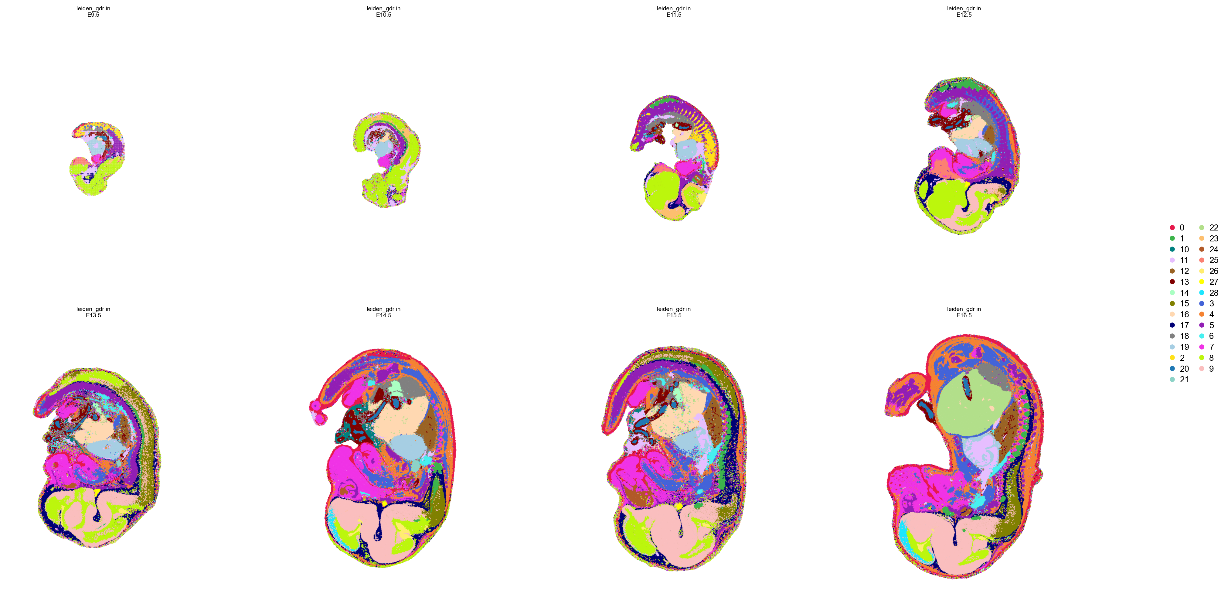 leiden clusters in space, per stage