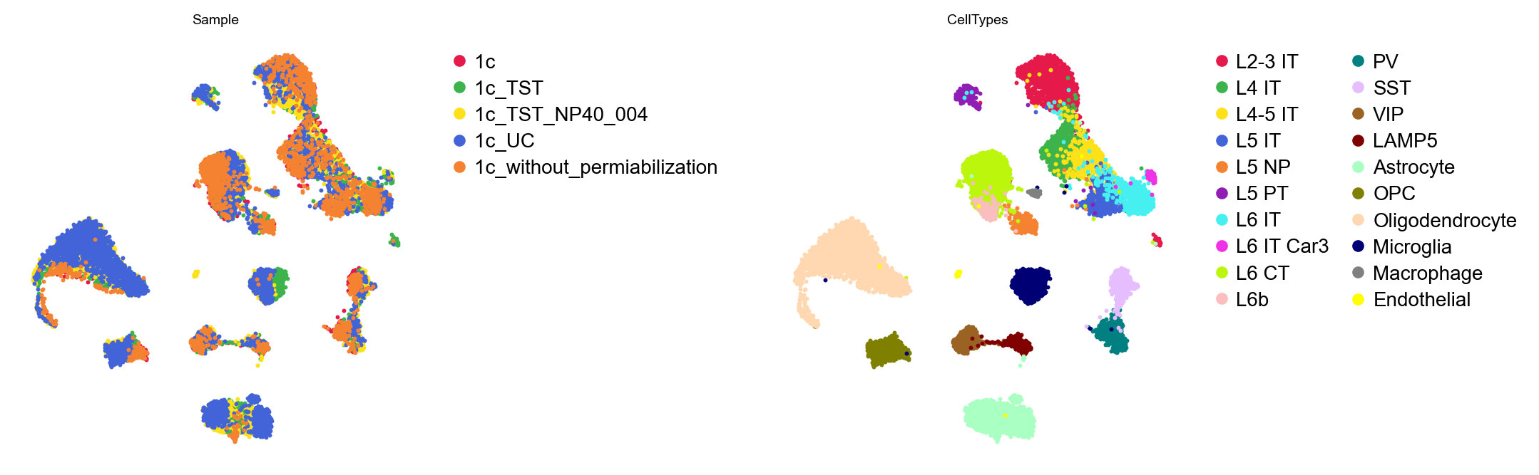 GDR embedding by sample and cell type