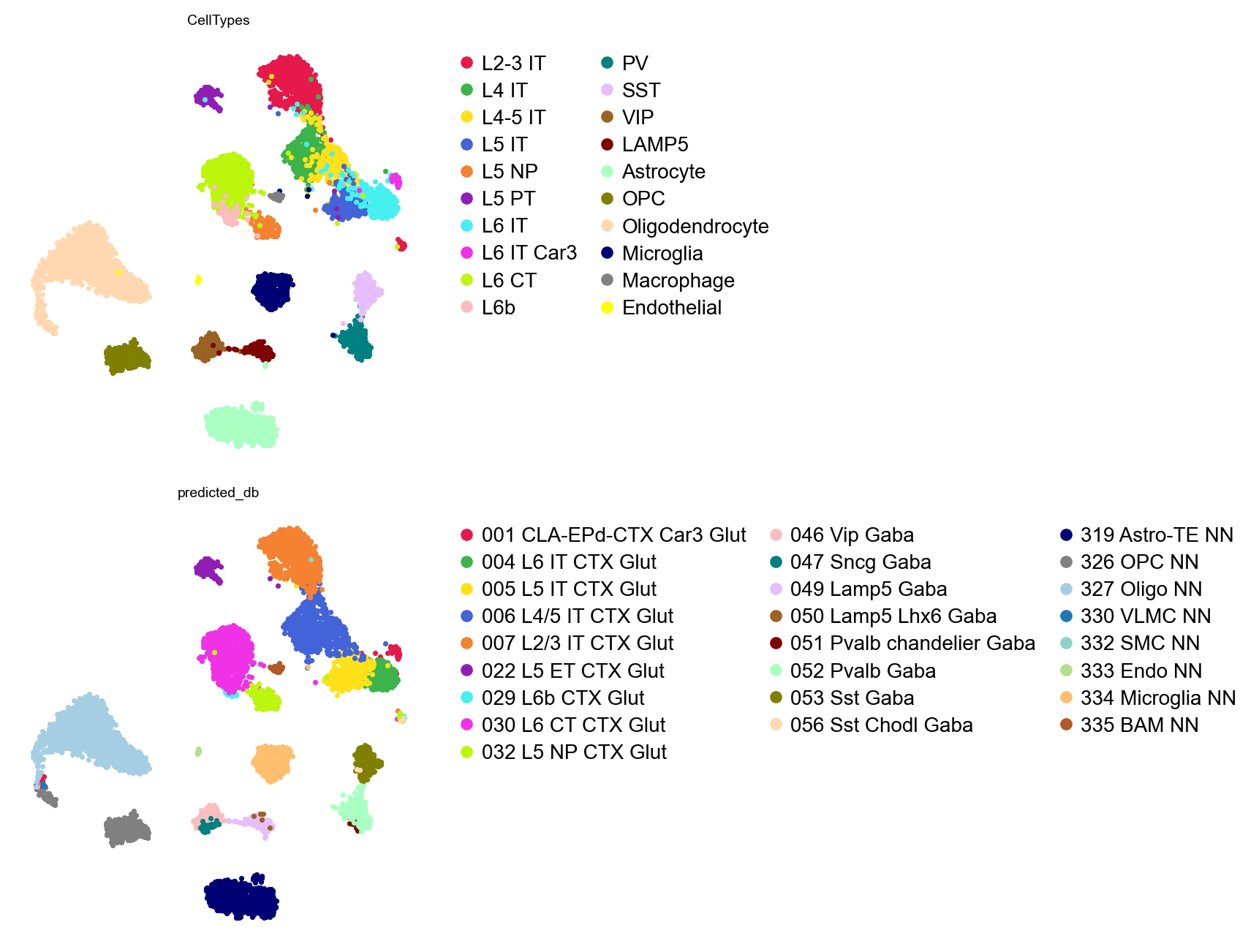 PIASOmarkerDB labels