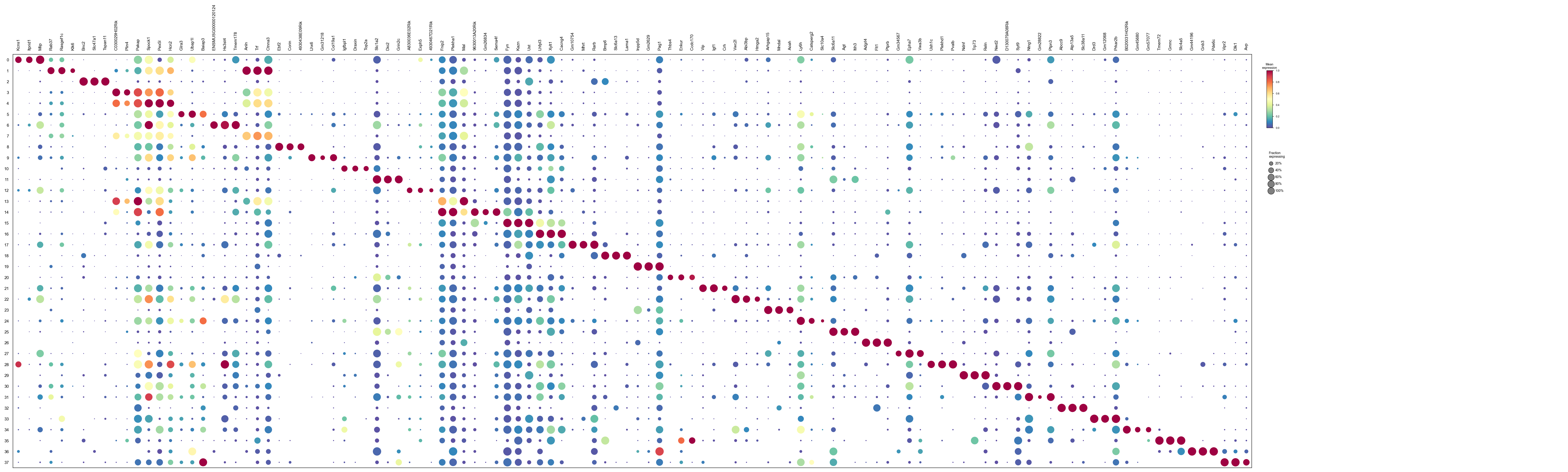 Top-3 markers per cluster