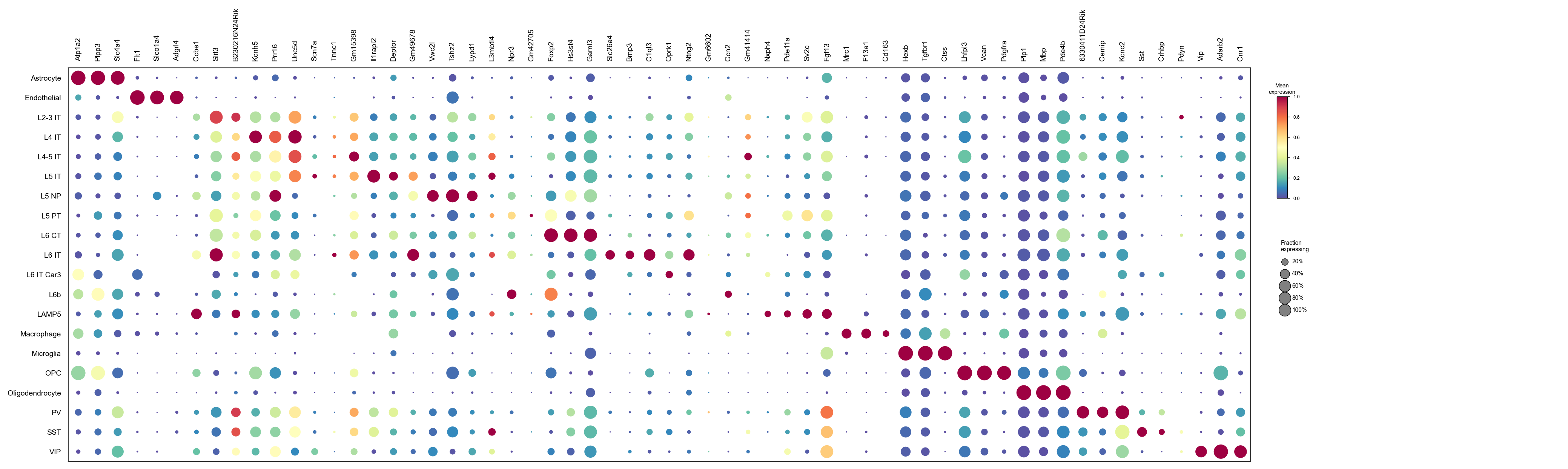 Reference markers by predicted cell type