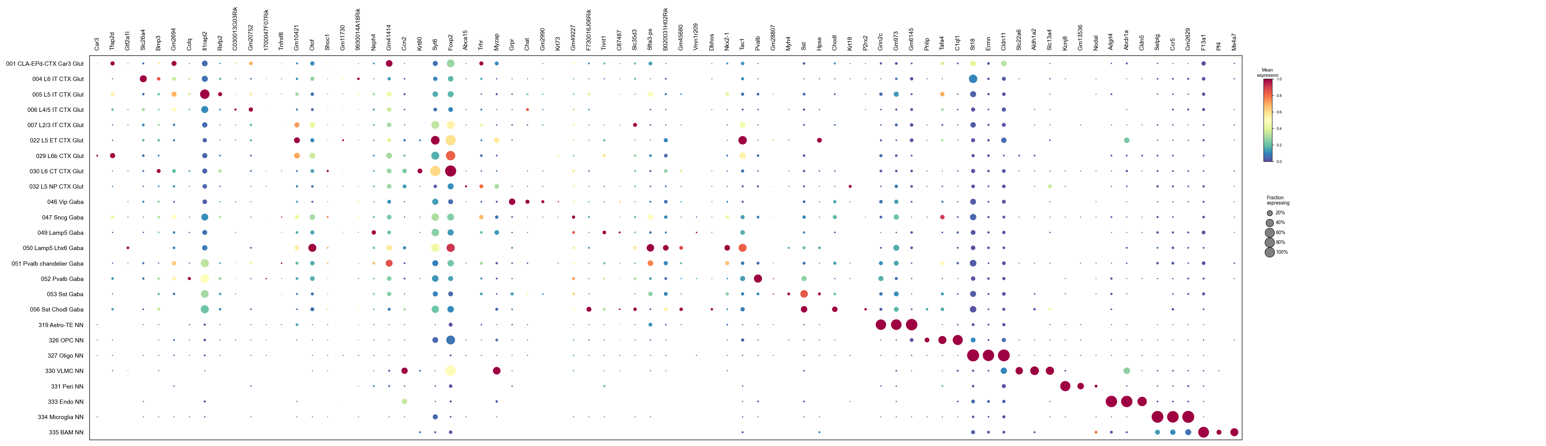 PIASOmarkerDB markers by predicted cell type