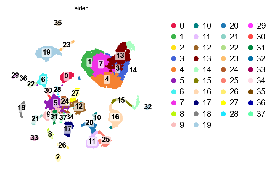 UMAP after cleanup and re-embedding