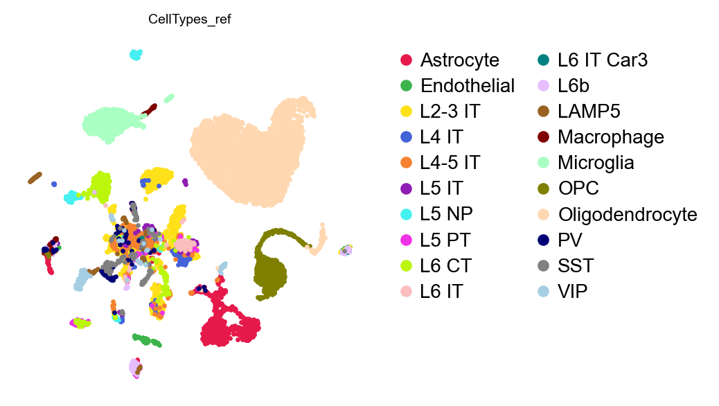 UMAP, reference-derived labels