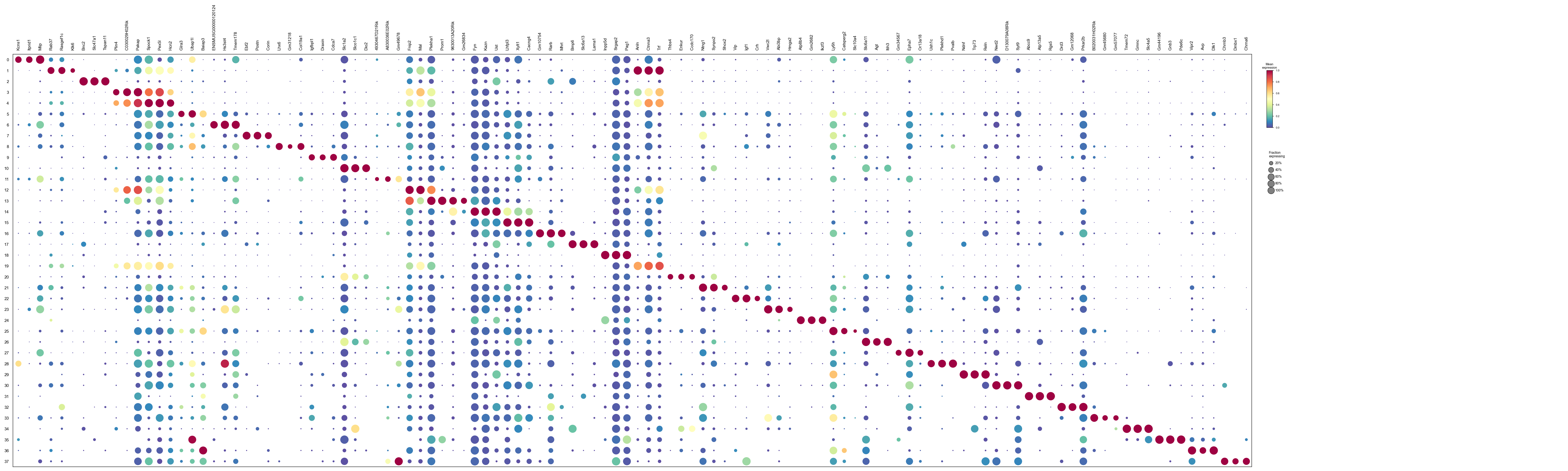 Top-3 markers per cluster