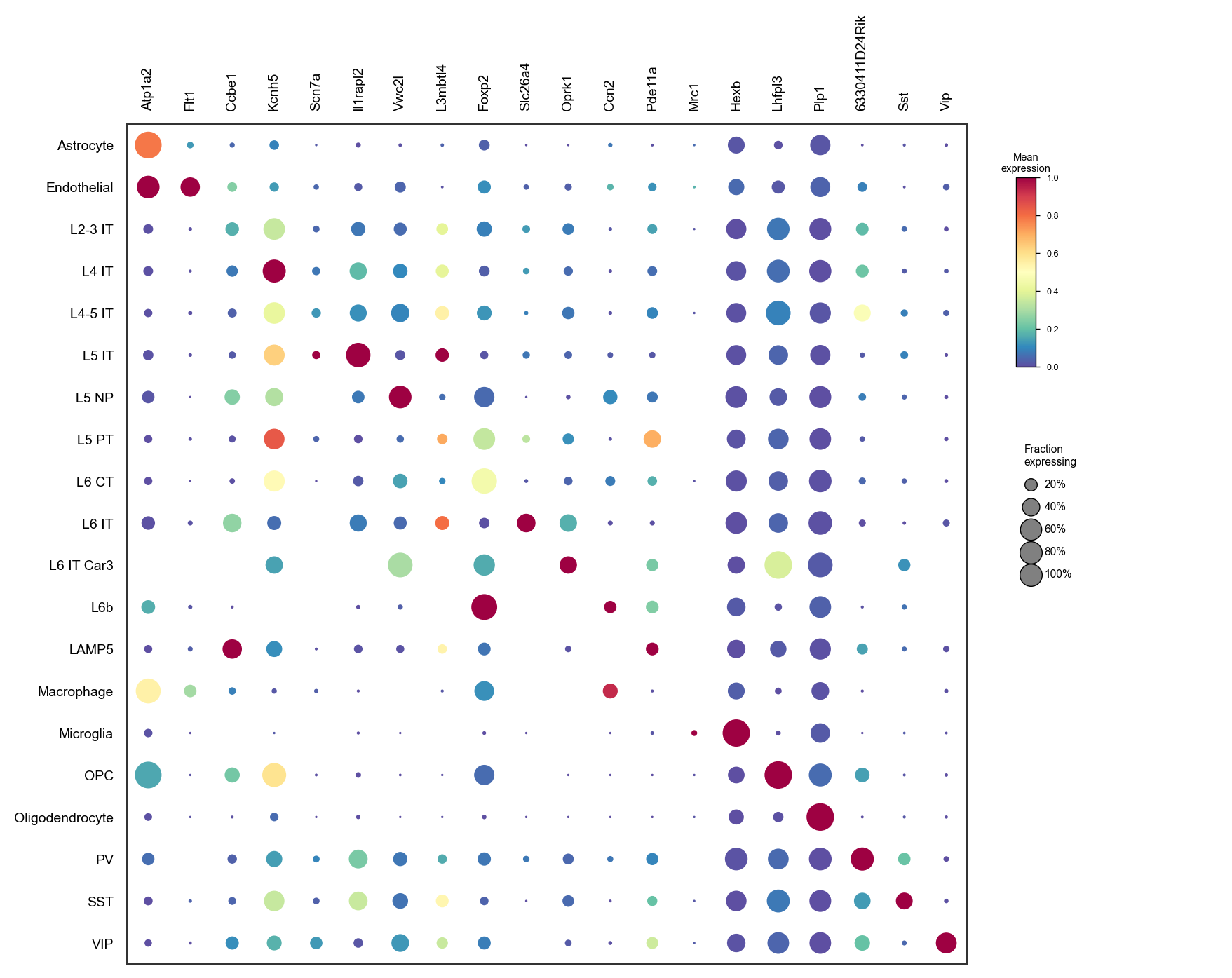 Reference markers by predicted cell type