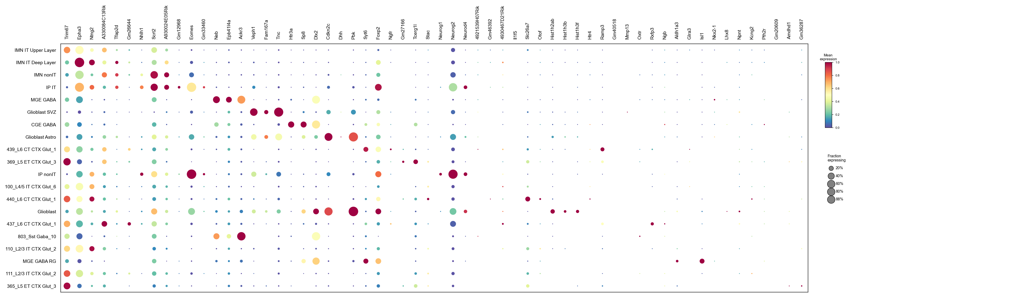 Markers by cell type