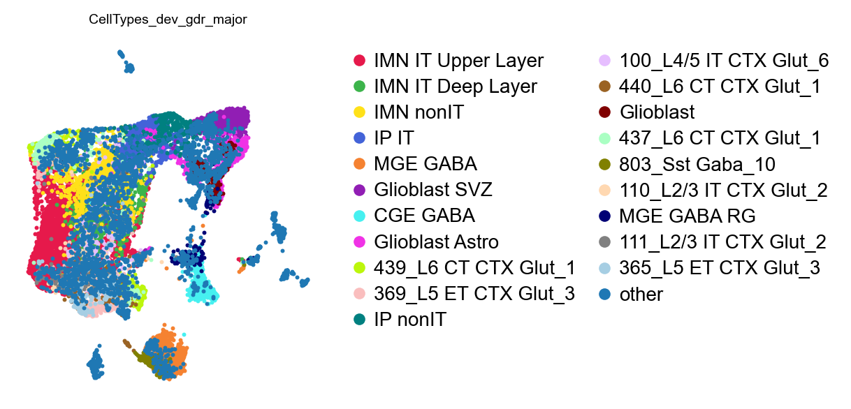 Cell types