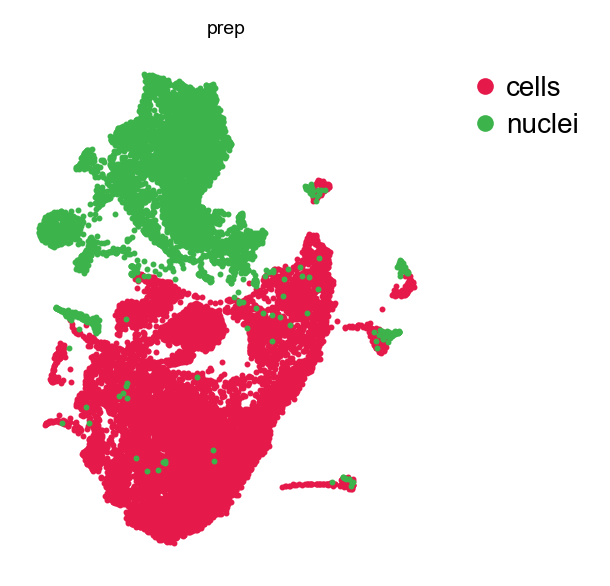SVD embedding, by preparation