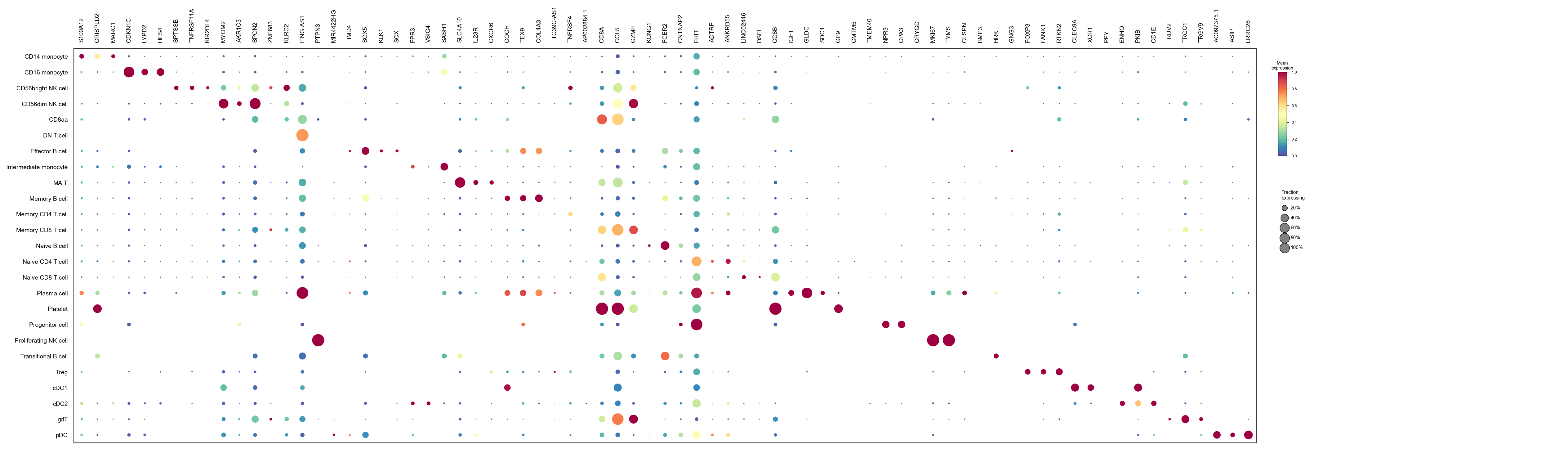 Marker genes by cell type