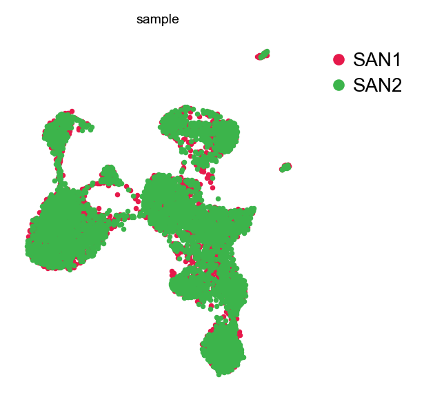 GDR embedding, coloured by sample