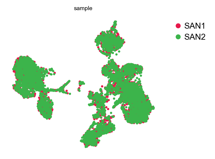 SVD embedding, coloured by sample