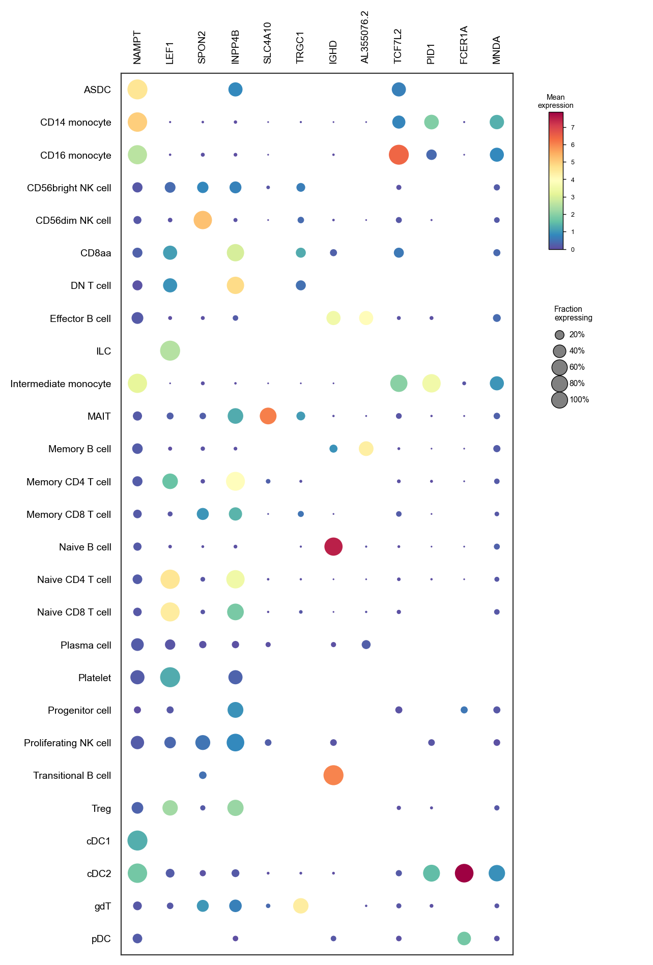 Markers by predicted cell type