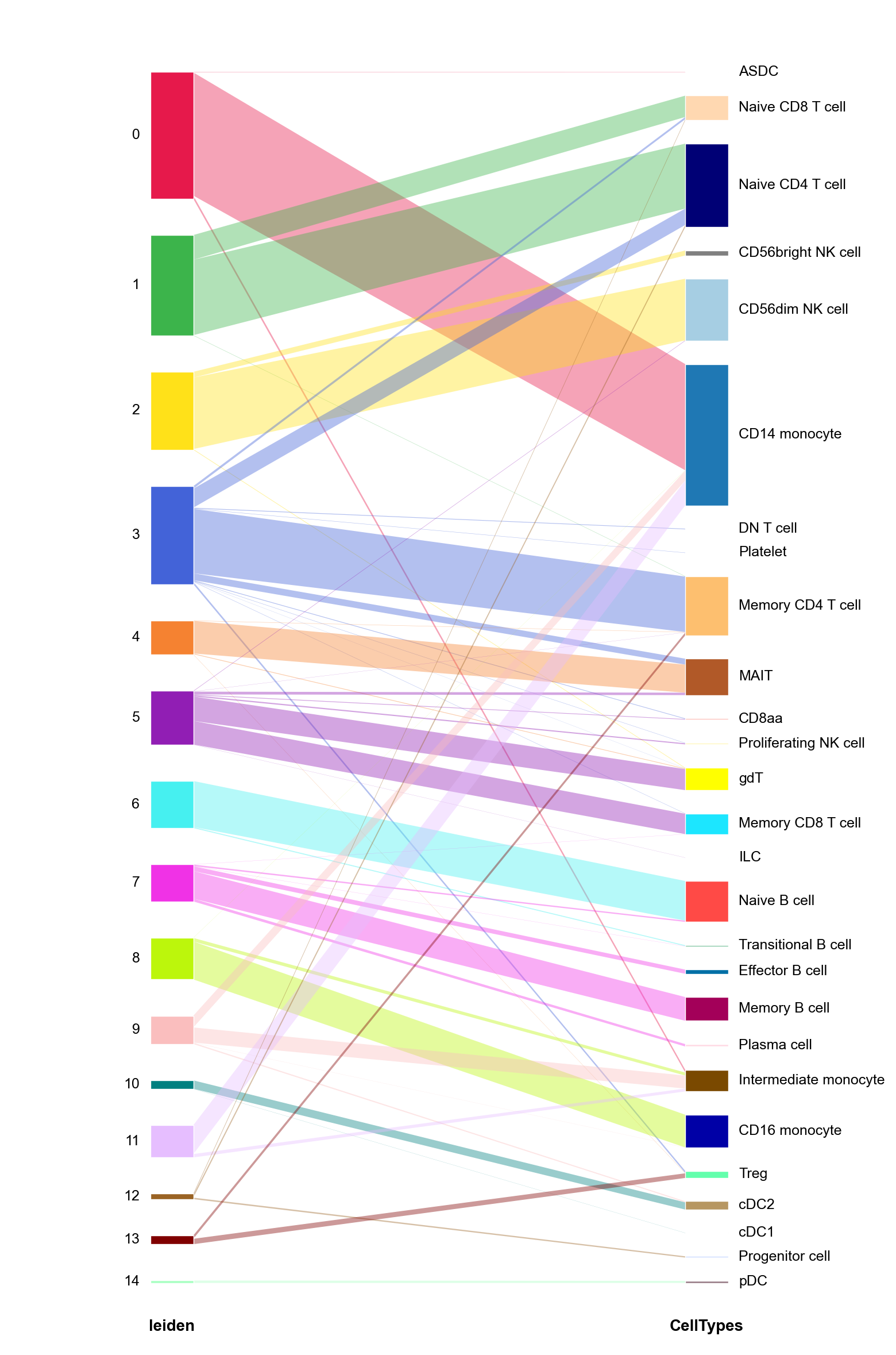 Clusters to predicted cell types
