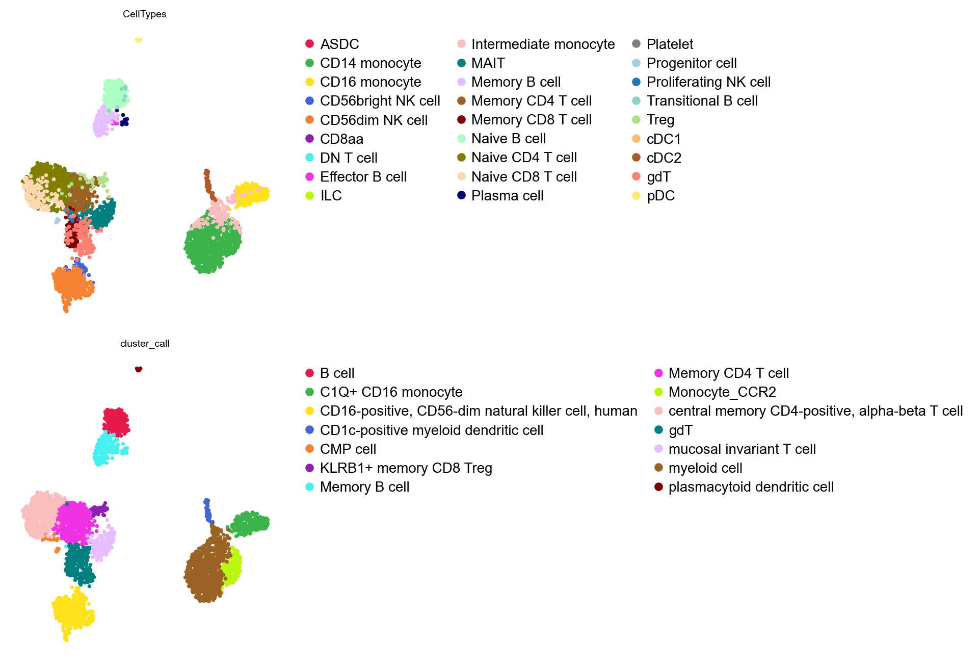 Cell-wise and cluster-wise labels