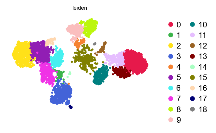 Leiden clusters