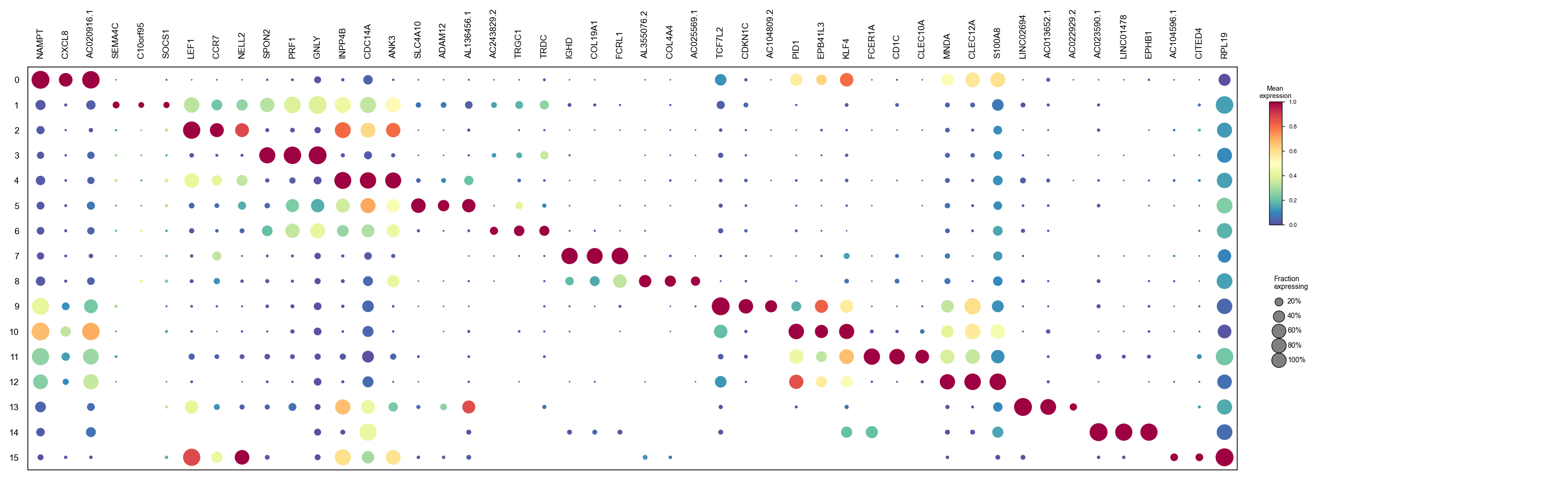 Top markers per cluster