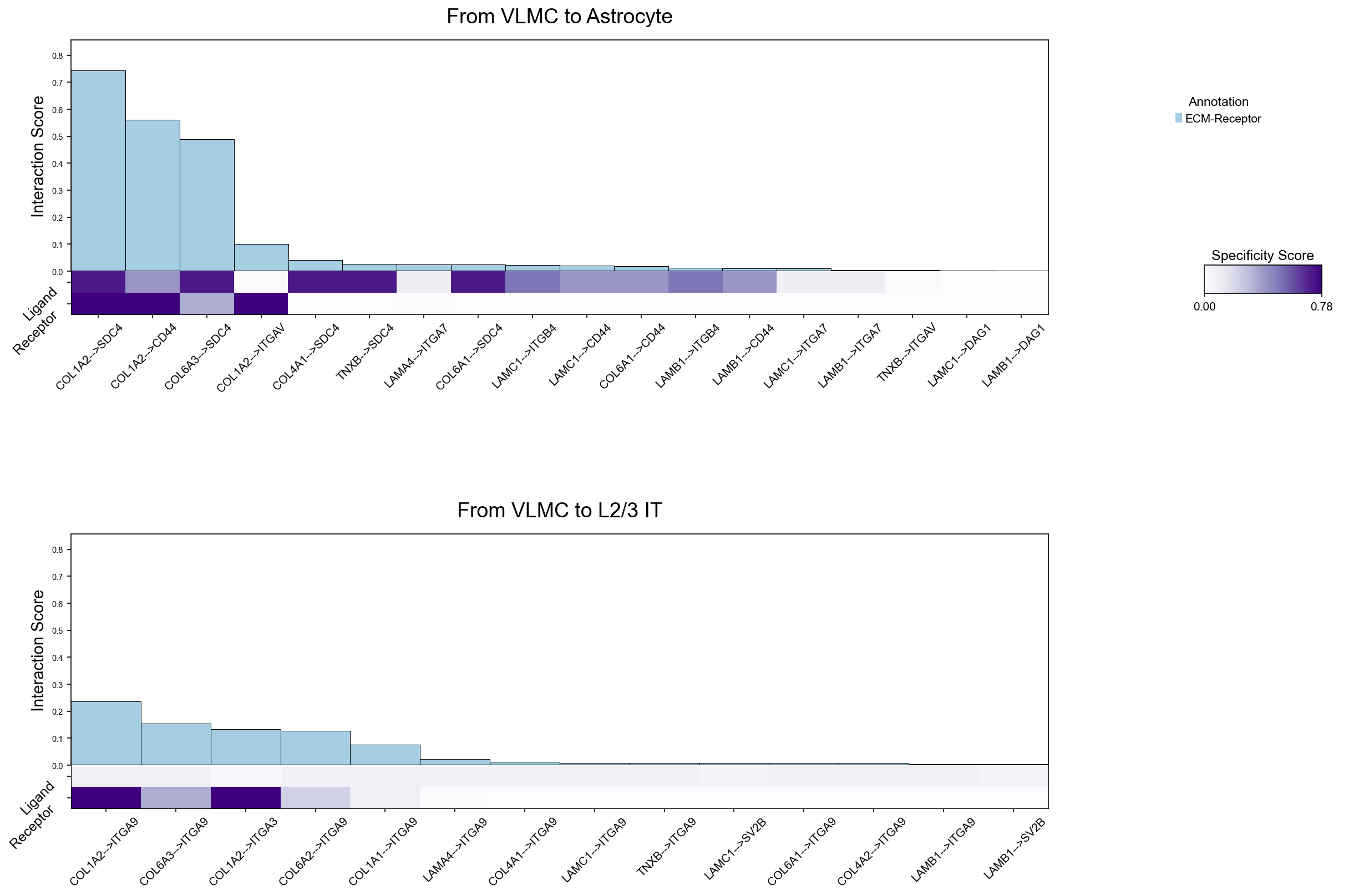 ECM-receptor interactions from VLMC to two receivers