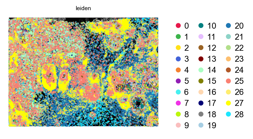 Xenium clusters on morphology